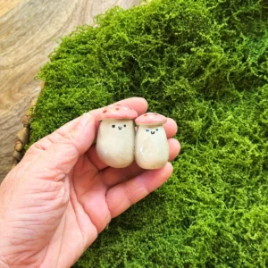 Grzybki-Para- różowe kapelusze