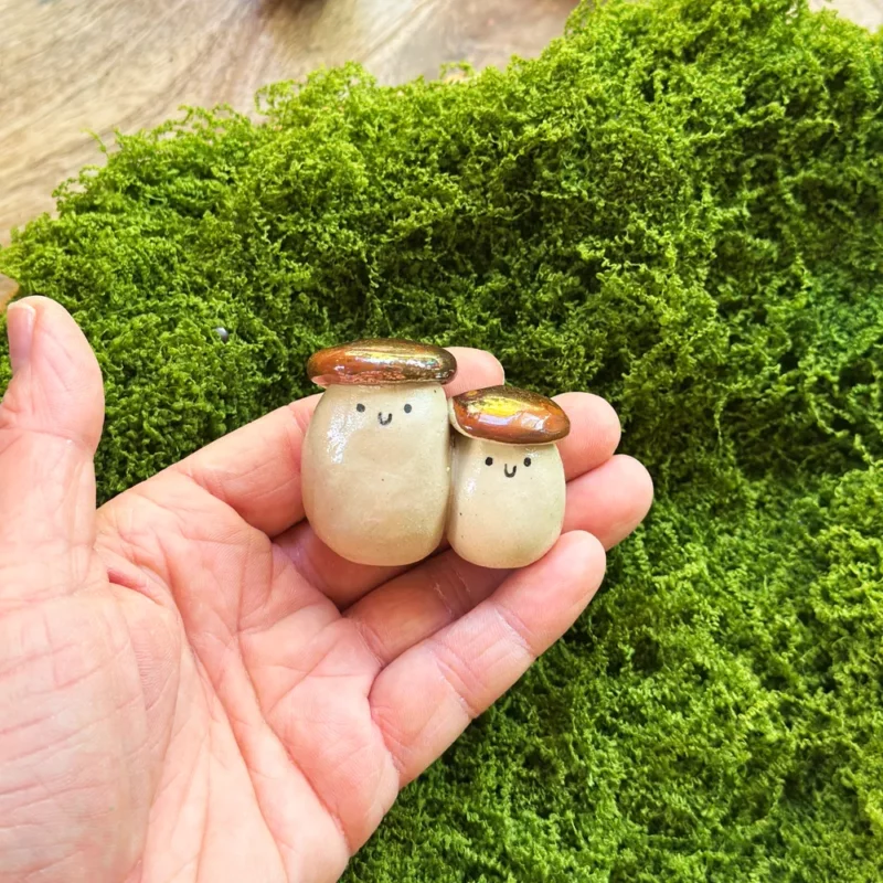 Grzybki-Para Prawdziwków